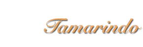 Logo Apartamentos Tamarindo